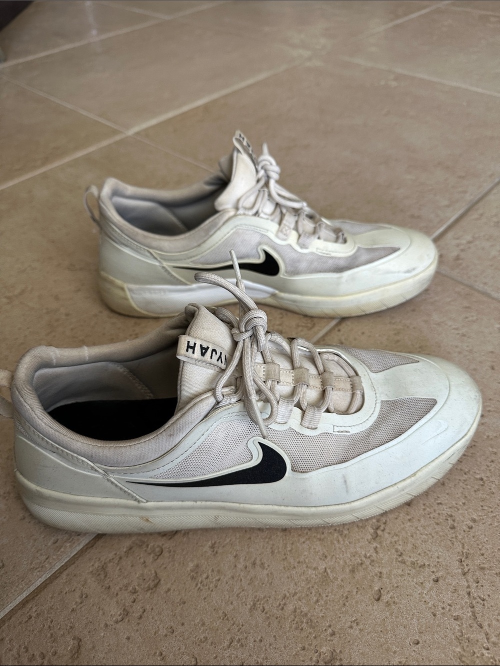 Nike SB Nyjah Free 2 Summit White